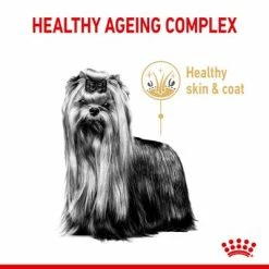 Royal Canin Yorkshire Terrier Adult 8+ -Zooplus Sales Shop rc spt dry york8 page 3 1 5