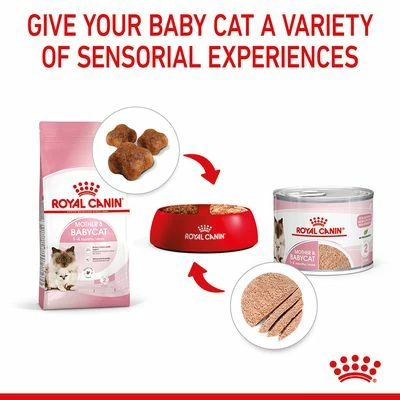 Royal Canin Mother & Babycat Ultra Soft Mousse 9 Royal Canin Mother & Babycat Ultra Soft Mousse - Image 7