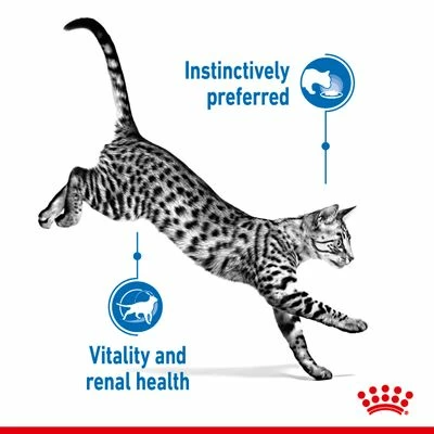 Royal Canin Indoor Sterilised 7+ In Gravy 7 Royal Canin Indoor Sterilised 7+ In Gravy - Image 5