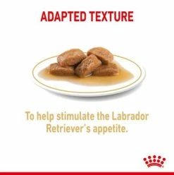 Royal Canin Labrador Retriever Adult In Gravy -Zooplus Sales Shop rc spt wet labad page 4 1 1