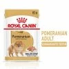 Royal Canin Pomeranian Adult Mousse -Zooplus Sales Shop rc spt wet pomad mv 1 de de 9