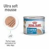 Royal Canin Starter Mousse Mother & Babydog -Zooplus Sales Shop rc spt wet starter mousse can b1 page 01 5