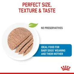 Royal Canin Starter Mousse Mother & Babydog -Zooplus Sales Shop rc spt wet starter mousse can b1 page 05 9