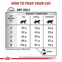 Royal Canin Veterinary Cat – Gastrointestinal Fibre Response -Zooplus Sales Shop rc vet dry catgastrofr eretailkit b1 page 7 5