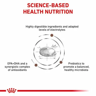 Royal Canin Veterinary Dog – Gastrointestinal Fibre Response 6 Royal Canin Veterinary Dog – Gastrointestinal Fibre Response - Image 4