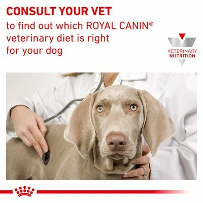 Royal Canin Veterinary Dog – Gastrointestinal Fibre Response 10 Royal Canin Veterinary Dog – Gastrointestinal Fibre Response - Image 8