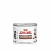 Royal Canin Veterinary - Kitten Gastrointestinal 2 Royal Canin Veterinary - Kitten Gastrointestinal -Zooplus Sales Shop rc vet wet catgastrokit200g mv eretailkit de de 6