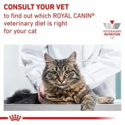 Royal Canin Veterinary - Renal With Chicken 14 Royal Canin Veterinary - Renal With Chicken -Zooplus Sales Shop rc vet wet catrenchicktsig eretailkit b1 cv 7 med res basic 5