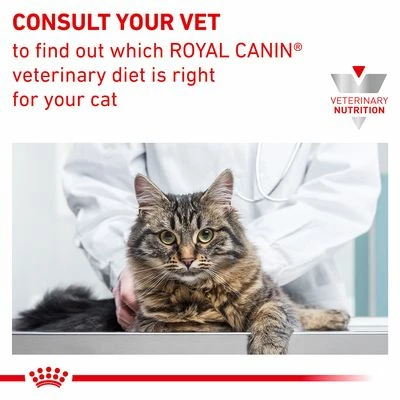 Royal Canin Veterinary – Sensitivity Control Chicken 9 Royal Canin Veterinary – Sensitivity Control Chicken - Image 7