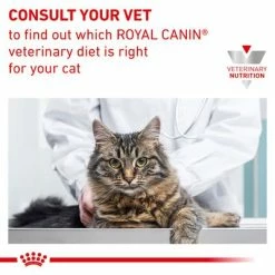 Royal Canin Veterinary - Urinary S/O Moderate Calorie 16 Royal Canin Veterinary - Urinary S/O Moderate Calorie -Zooplus Sales Shop rc vet wet caturinarysomc eretailkit b1 page 9 9