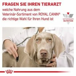 Royal Canin Veterinary Canine Diabetic Special Low Carb Mousse 13 Royal Canin Veterinary Canine Diabetic Special Low Carb Mousse -Zooplus Sales Shop rc vet wet dogmobilityloaf400 cv eretailkit 7 de de 2
