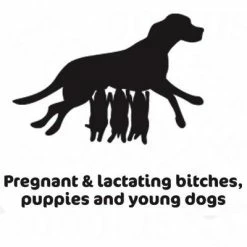 Bozita Robur Breeder & Puppy XL 30/14 -Zooplus Sales Shop robur puppy 7