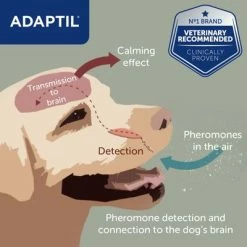 ADAPTIL® Calm Collar For Dogs -Zooplus Sales Shop small collar 3 3