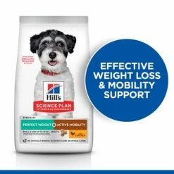 Hill's Science Plan Hill’s Science Plan Adult 1+ Perfect Weight & Active Mobility Small & Mini 12 Hill's Science Plan Hill’s Science Plan Adult 1+ Perfect Weight & Active Mobility Small & Mini -Zooplus Sales Shop small mini key benefit 1