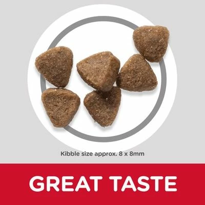 Hill's Science Plan Kitten Chicken - Image 2