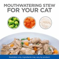 Hill's Science Plan Adult Healthy Cuisine With Chicken & Salmon -Zooplus Sales Shop sp healthy cuisine thumbnails cat bowl 1