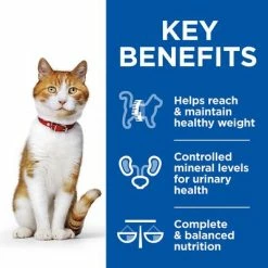 Hill's Science Plan Adult Sterilised Healthy Cuisine With Chicken & Salmon -Zooplus Sales Shop sp healthy cuisine thumbnails cat young adult sterilised benefits 9