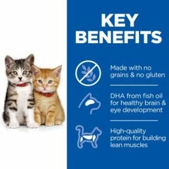 Hill's Science Plan Hill’s Science Plan Kitten <1 No Grain With Chicken -Zooplus Sales Shop sp no grain cat kitten chicken key benefits 0