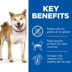 Hill's Science Plan Adult 1-6 No Grain Medium With Chicken -Zooplus Sales Shop sp no grain dog adult medium chicken key benefits 7