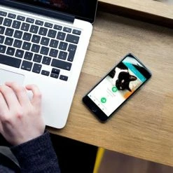 SureFlap Microchip Pet Door Connect 16 SureFlap Microchip Pet Door Connect -Zooplus Sales Shop sureflap microchip petdoorconnect hs 13 1