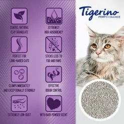 Tigerino XL Grain / Performance - Baby Powder -Zooplus Sales Shop tigerino boards benefits performance xlgrain en 1000x1000 3