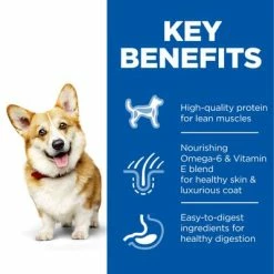 Hill's Science Plan Hill’s Science Plan Adult 1-6 Small & Mini With Chicken -Zooplus Sales Shop uk dog adult s m chicken transition benefits 4