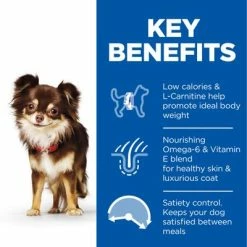 Hill's Science Plan Adult 1-6 Light Small & Mini With Chicken -Zooplus Sales Shop uk dog adult s m light chicken transition benefits 5