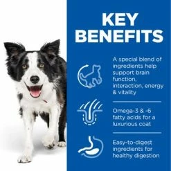 Hill's Science Plan Hill’s Science Plan Adult 7+ Senior Vitality Medium With Chicken -Zooplus Sales Shop uk dog ma medium yv chicken transition benefits 2