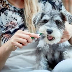 Vet's Best® Dental Care Set For Dogs -Zooplus Sales Shop v317310 vetsbest dentalcare kit hs 09 3