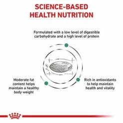 Royal Canin Veterinary - Diabetic DS 46 16 Royal Canin Veterinary - Diabetic DS 46 -Zooplus Sales Shop vhn diabetic cat dog dry b1 mv4 med res basic 0