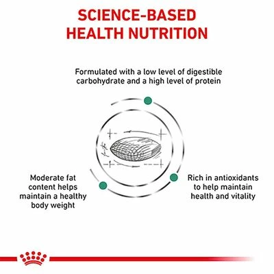Royal Canin Veterinary - Diabetic DS 46 9 Royal Canin Veterinary - Diabetic DS 46 - Image 7