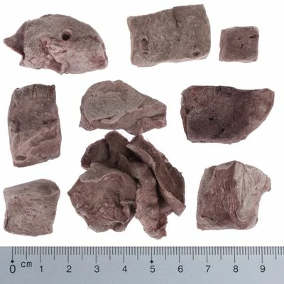 Wolf Of Wilderness RAW Freeze-dried Snacks Saver Packs 7 Wolf Of Wilderness RAW Freeze-dried Snacks Saver Packs - Image 5