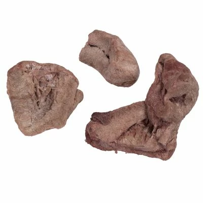 Wolf Of Wilderness RAW Freeze-dried Snacks Mixed Trial Pack 10 Wolf Of Wilderness RAW Freeze-dried Snacks Mixed Trial Pack - Image 8