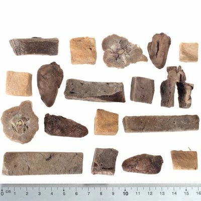 Wolf Of Wilderness RAW 5 Mix Freeze-dried Snacks 5 Wolf Of Wilderness RAW 5 Mix Freeze-dried Snacks - Image 3