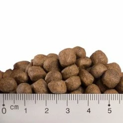 Feringa Adult Fish -Zooplus Sales Shop x008 0