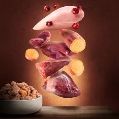 Purizon Adult Saver Pack 24 X 400g -Zooplus Sales Shop zop 21 117 purizon nassfutter marketingboards rind pute p6 1 2